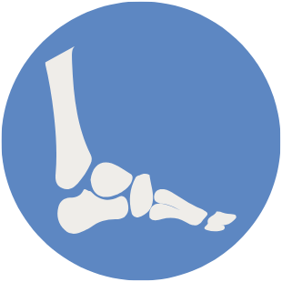 Foot icon