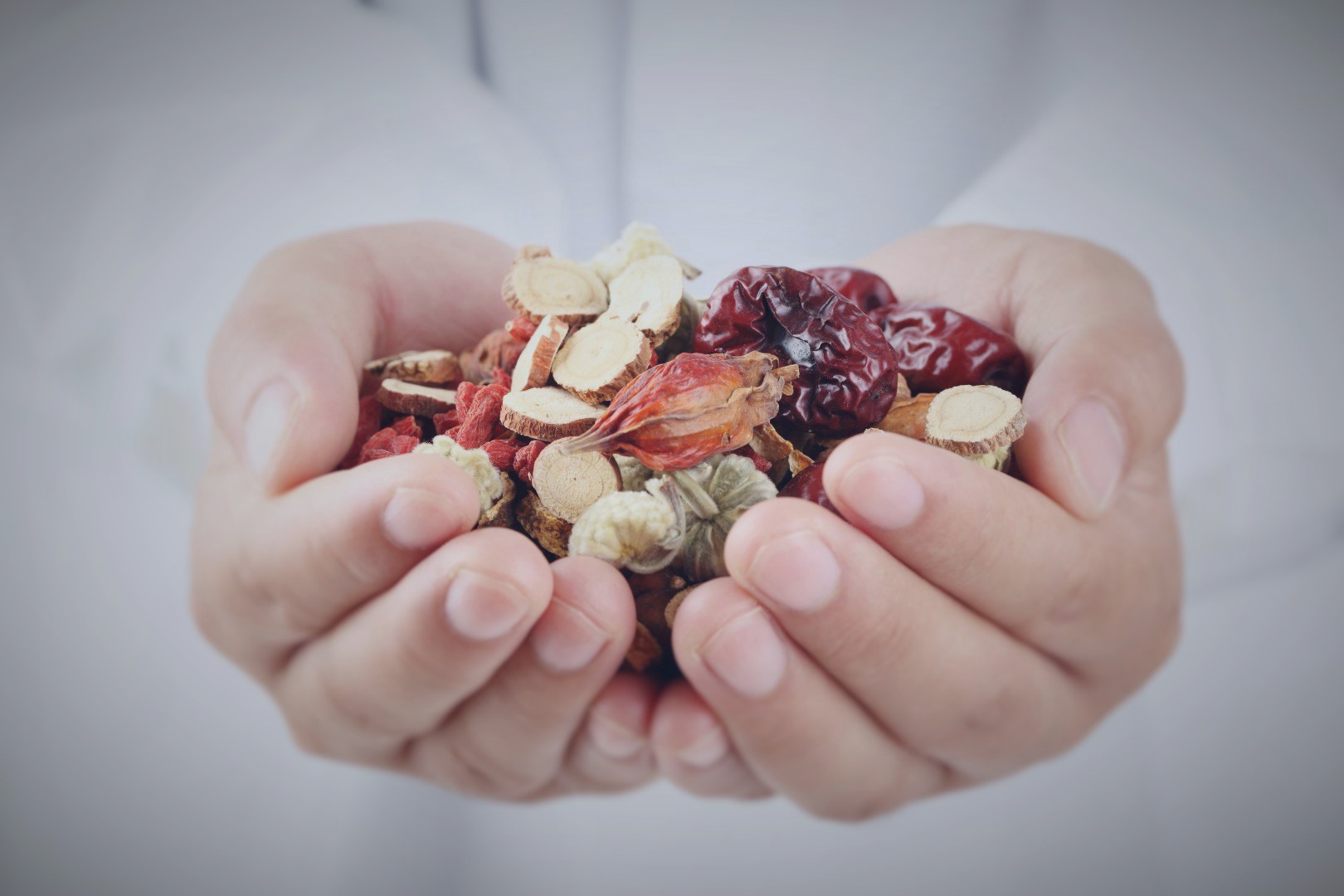 Hands holding dried fruits